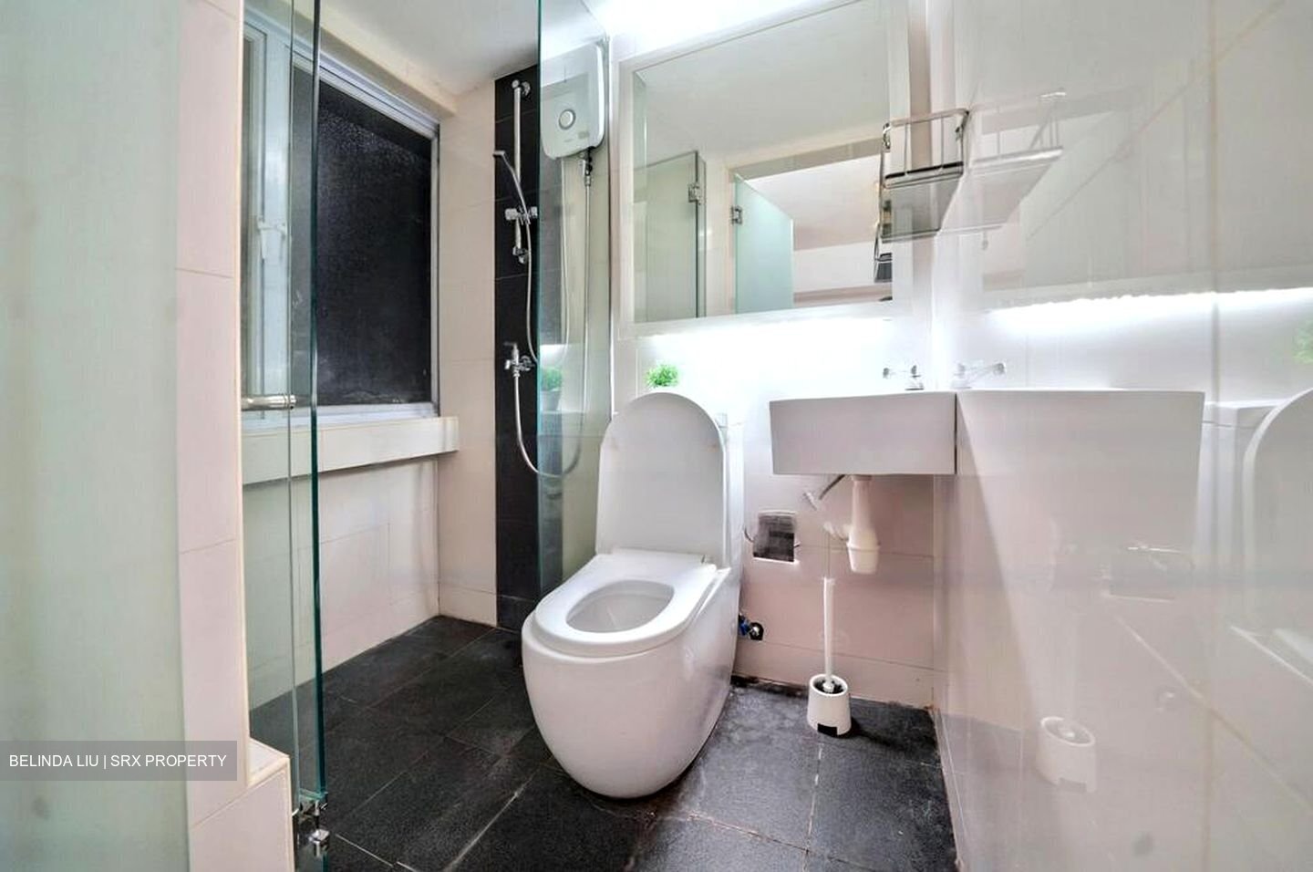 Lucky Plaza (D9), Apartment #457622211